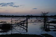 David Plant Photography - Wildlife Photographer - Sunset - P